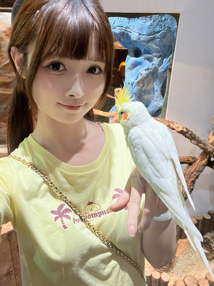 京城怪物 封面