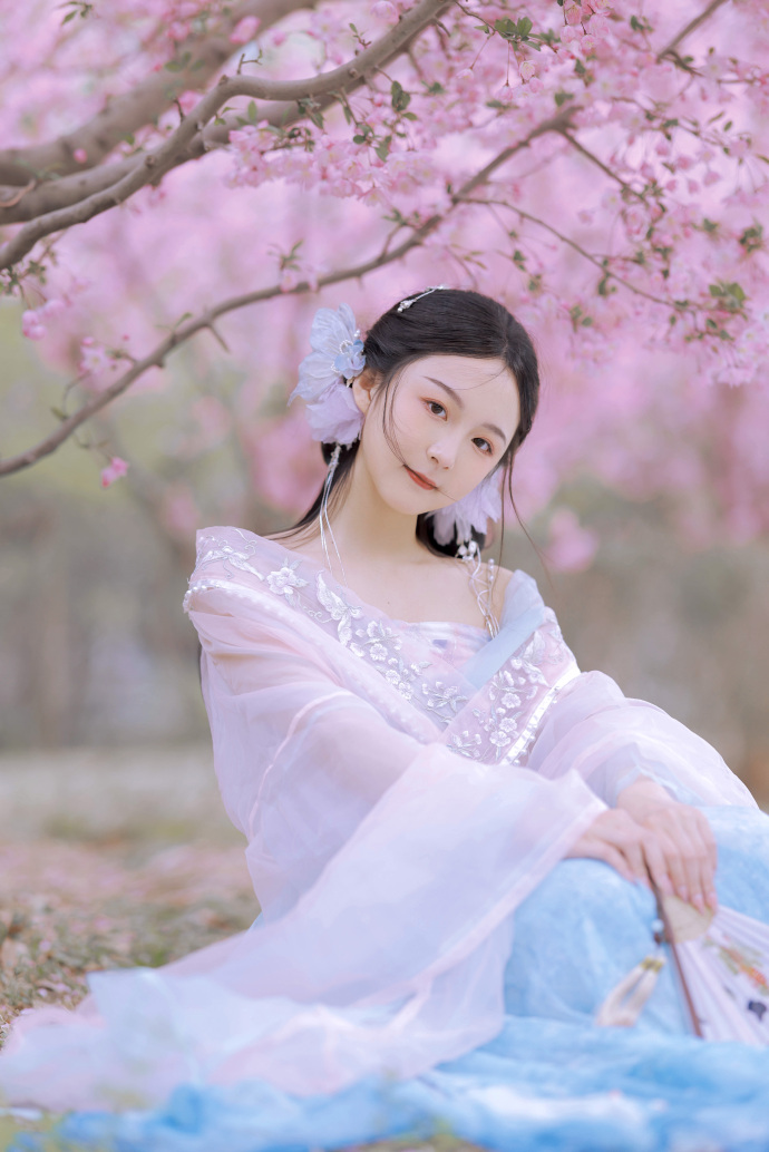 秘密森林2 封面
