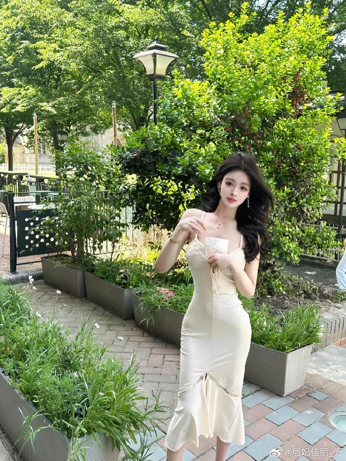 犬之岛 剧照