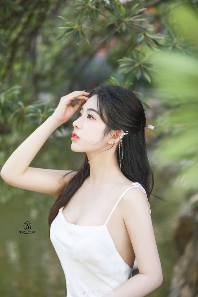 莲花楼 封面